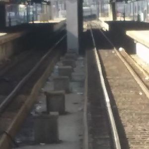 Meet your Posher, Nicholas